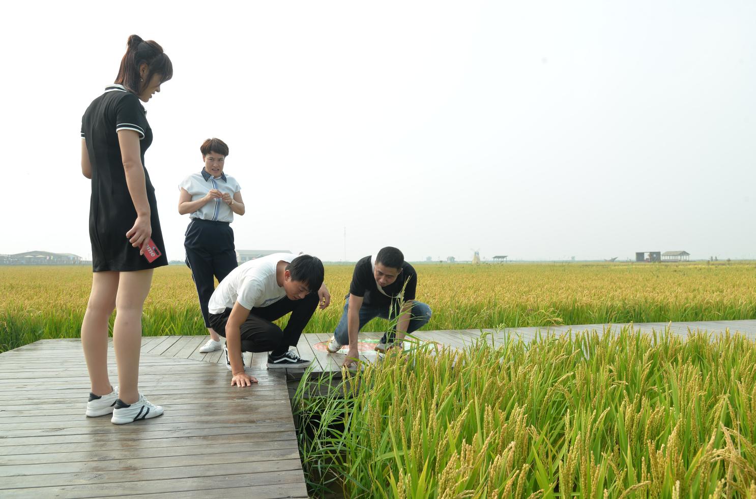 盘锦红海滩五月去好吗,五一盘锦红海滩