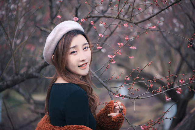 梅花十大经典诗句,梅花诗10首是谁写的