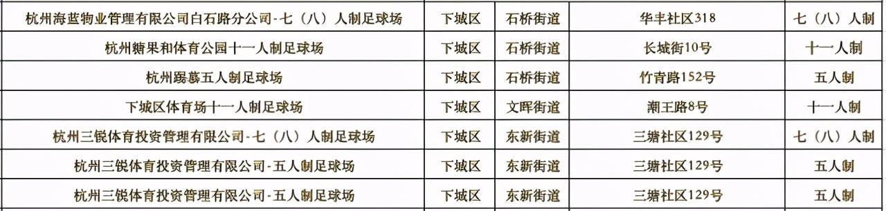 杭州亚运足球场地,杭州有没有标准的足球场