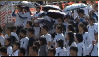 羡慕不如自省国内校园联赛频遭误读谁该担责？不谈热爱何来强大