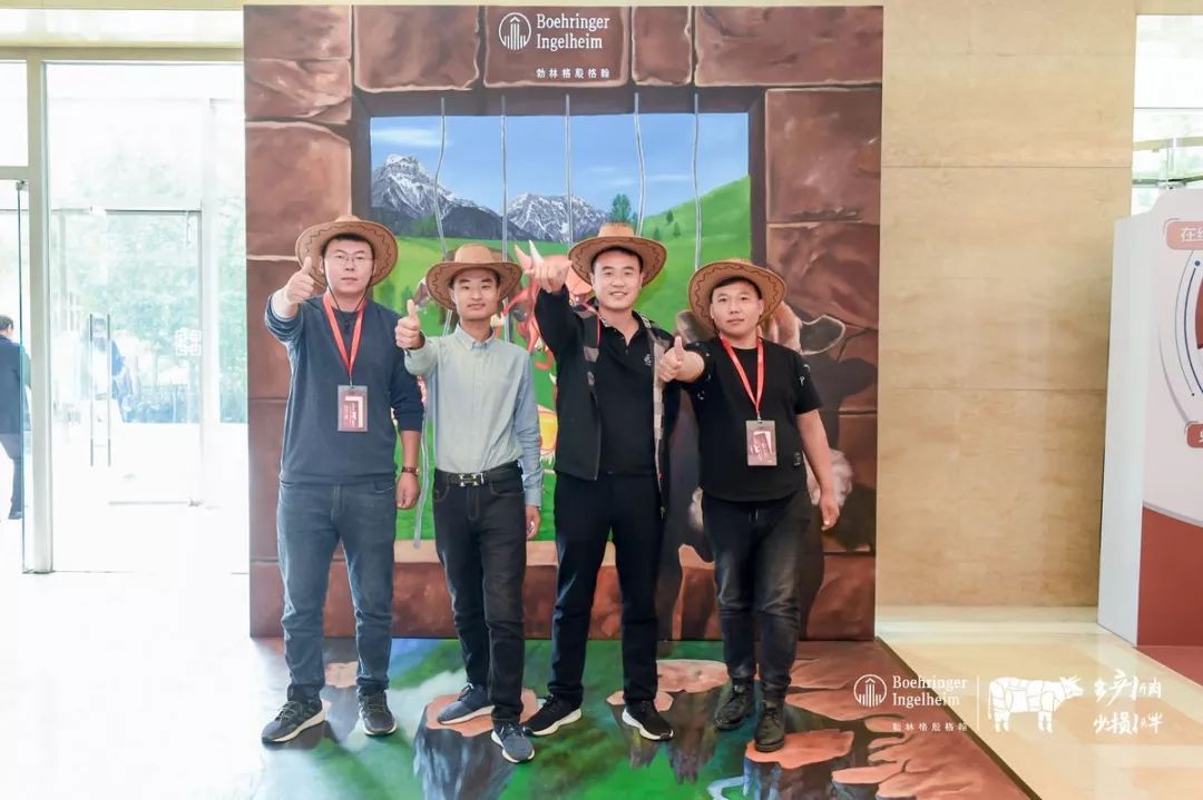 这一次，风口上站的是肉牛