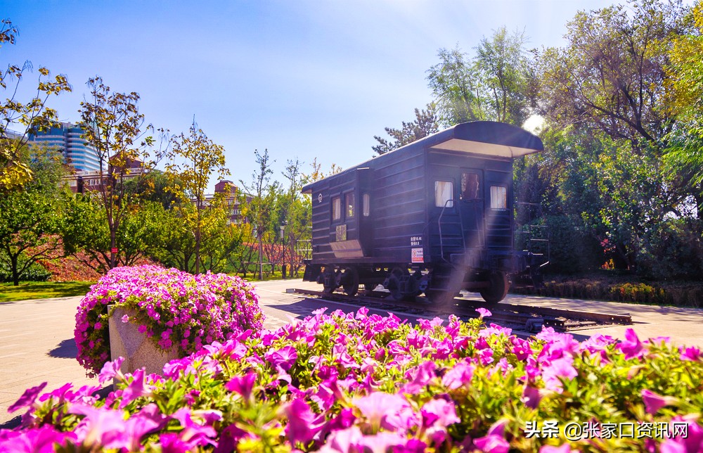 张家口新开的主题公园,张家口大好河山景观区夜景