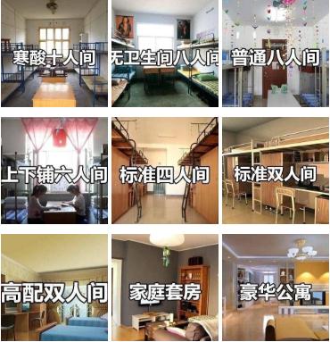 对宿舍不满意,女生寝室改造方法妈妈看了都惊呆