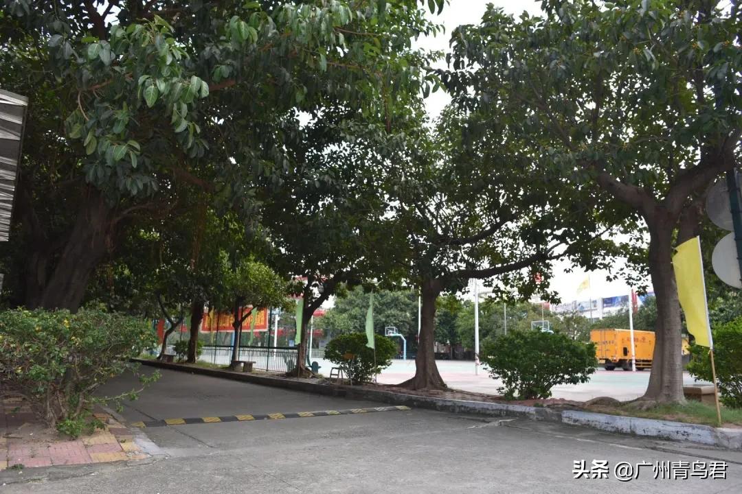 广州哪里有隐藏的秘密基地,广州隐秘的角落