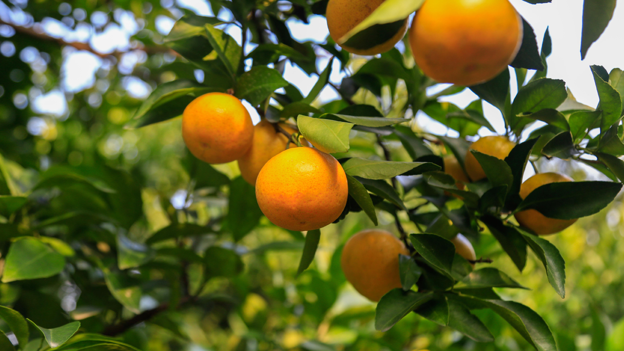 销售中如何有技巧送赠品,做销售给客户送礼送什么合适