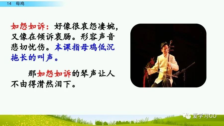 部编版四年级下册15课白鹅解析,部编版四下语文第13课母鸡预习