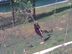 老爸叫我把谷子装进袋里，结果我玩游戏忘了！现在该怎么办？