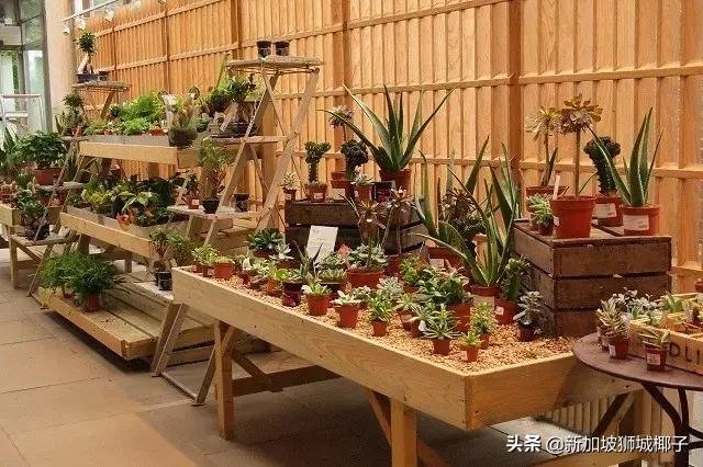 新加坡旅游攻略推荐花园,新加坡花园最新消息