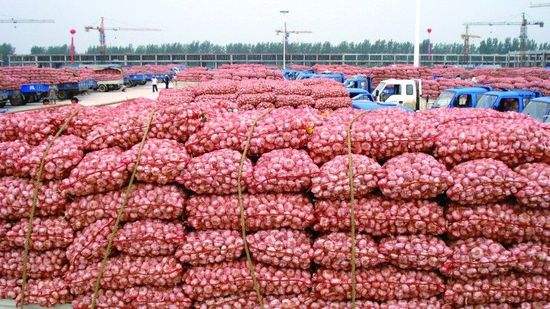 大蒜价格最新行情7月5日,2018年6月18日大蒜价格走势