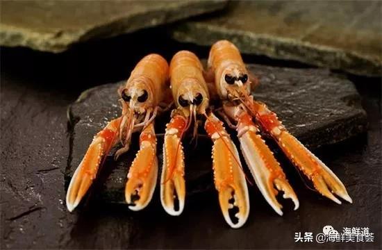 102种海鲜,营养丰富的海鲜有哪些品种