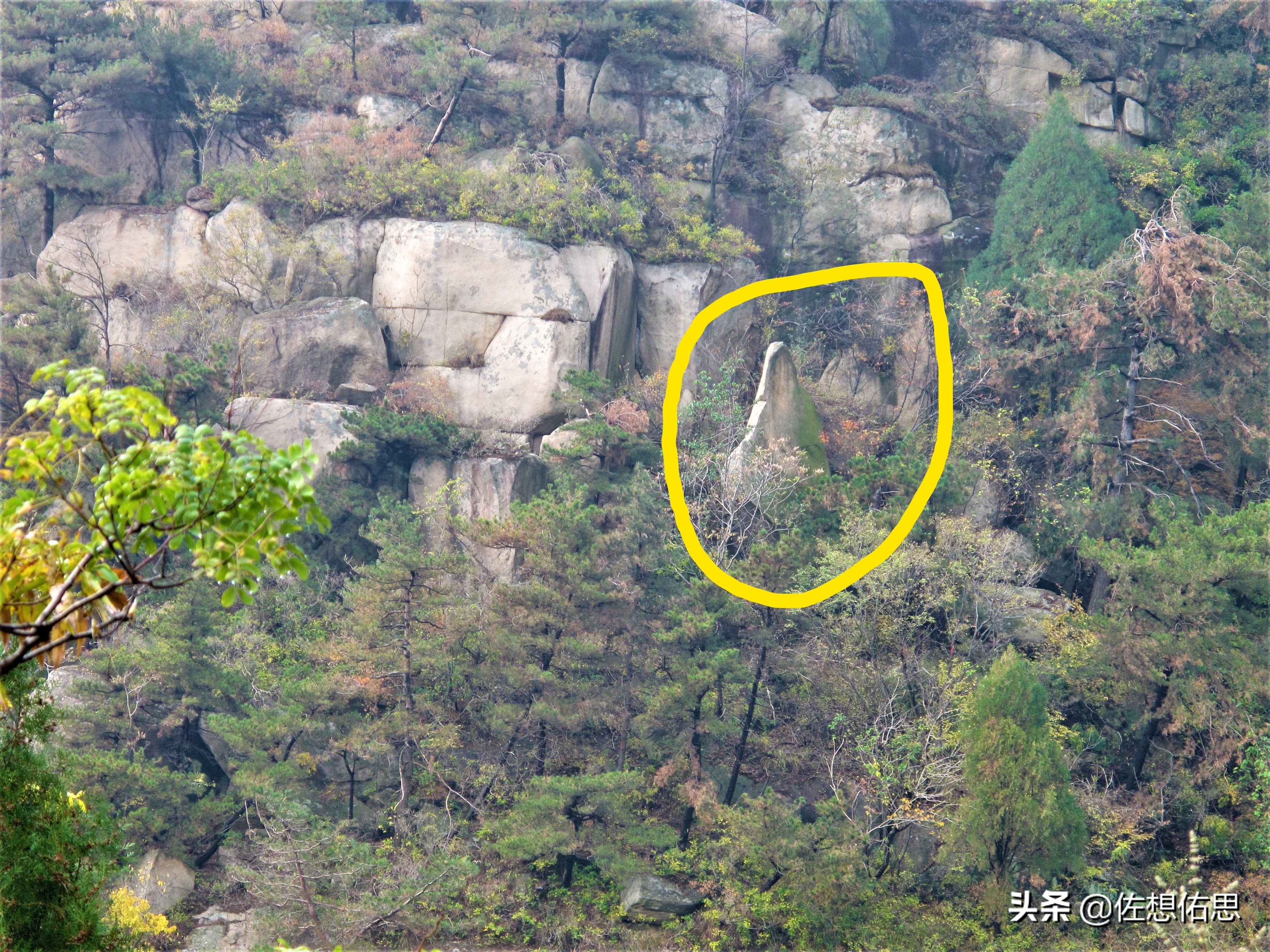泰安扇子崖免门票吗,扇子崖门票多少钱