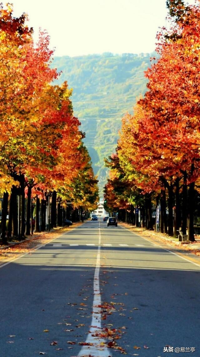 2018年的我在做什么,2018年的我