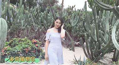 春节期间最受欢迎旅行地厦门,厦门春节旅游预约攻略最新