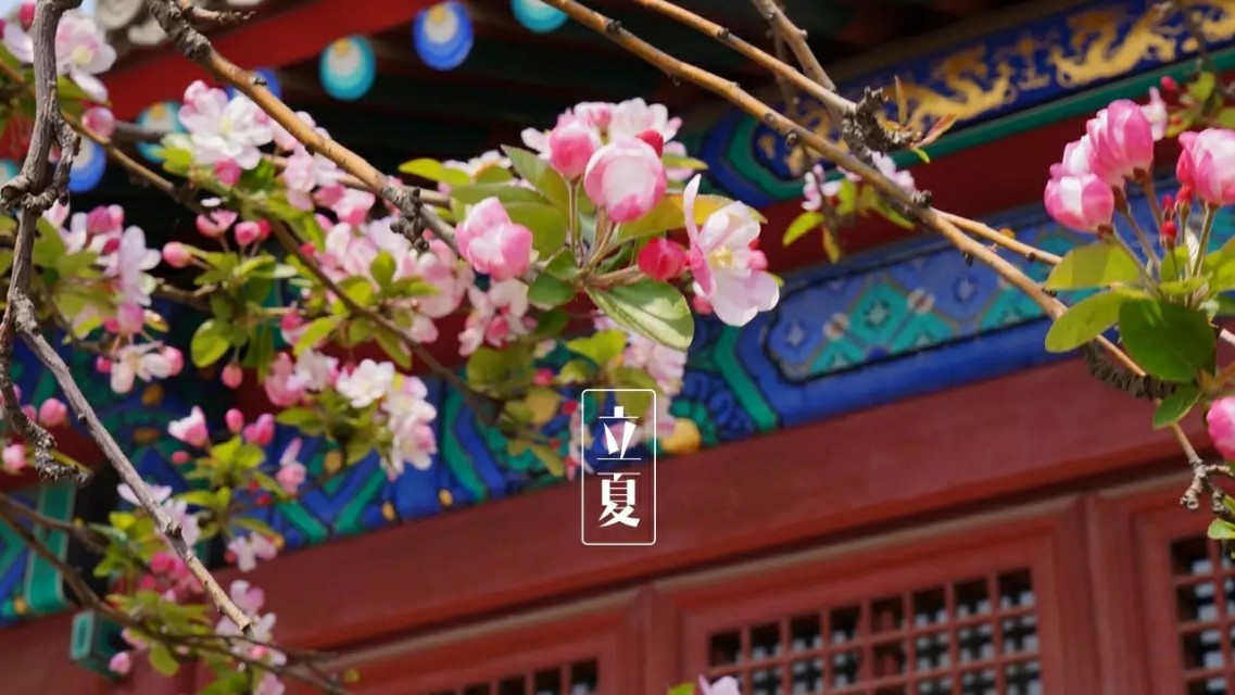 今日立夏风暖人间草木香全诗,立夏风暖人间草木香说说