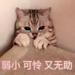 女性容易感染妇科病的几个原因,女性妇科病男性要不要一起治疗