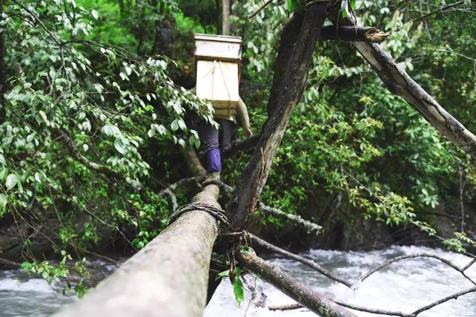 春夏还能这么吃健康养生吃不腻,春夏秋冬适合喝什么滋补