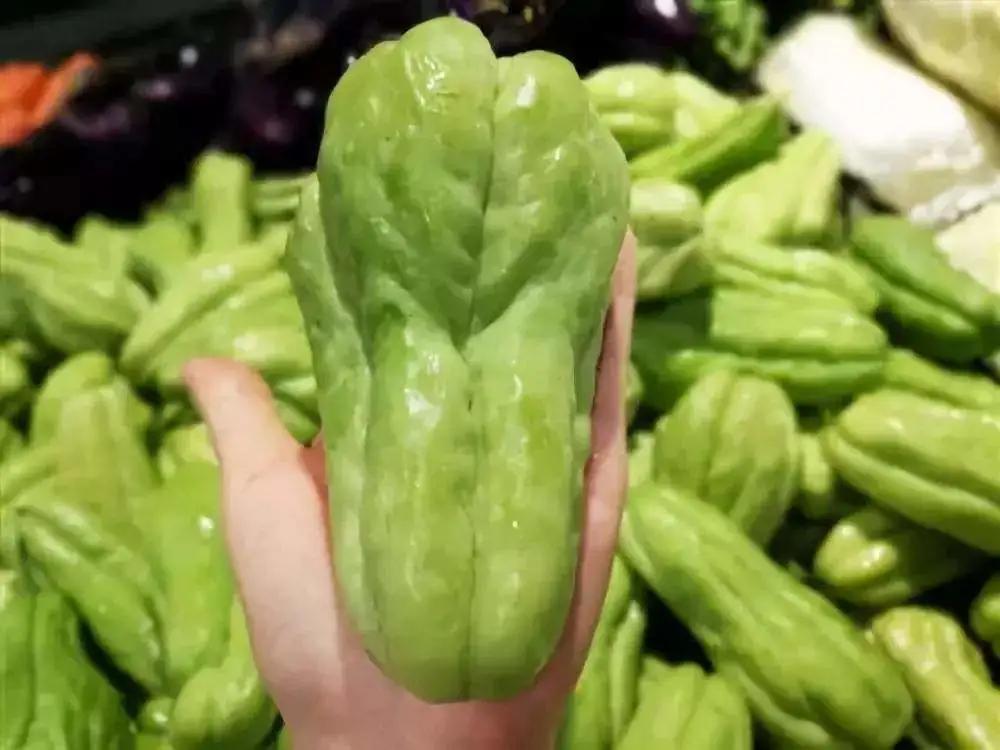 @吃瓜群众这款“佛系瓜”健脾开胃、祛风解热，甚至还能提高智力，全身都是宝！