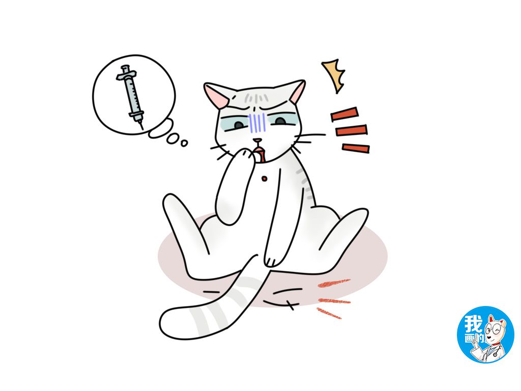 猫咪的胡须突然断了是什么情况 (猫咪胡须掉落怎么回事)