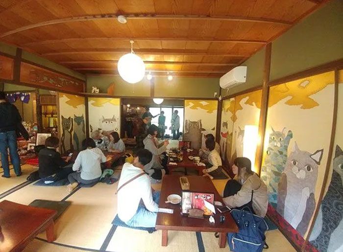 日本都是招财猫的寺庙,猫咪古灵精怪的寺庙