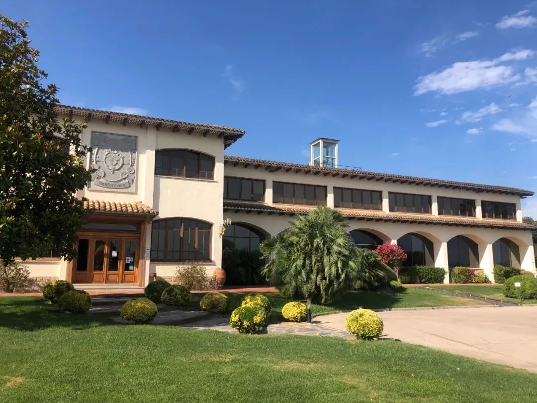 葡萄低度果酒,低度酒越来越受欢迎