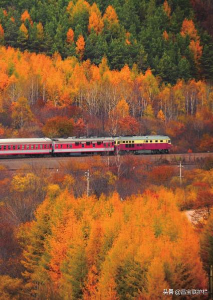 滨绥铁路是电气化铁路吗,滨绥铁路290公里