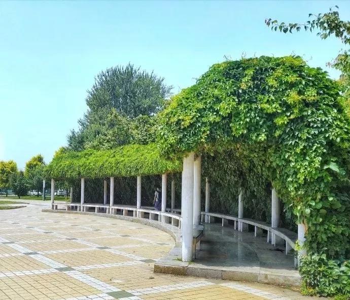 辽宁省内大学排名沈阳医学院,辽宁省沈阳医学院前景