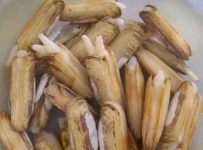 秦皇岛海鲜攻略,秦皇岛淡季海鲜攻略