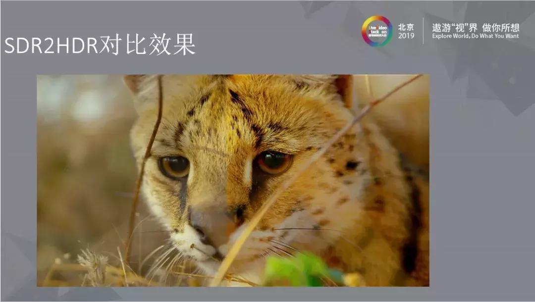 优酷视频下载最高画质,优酷清晰度测评