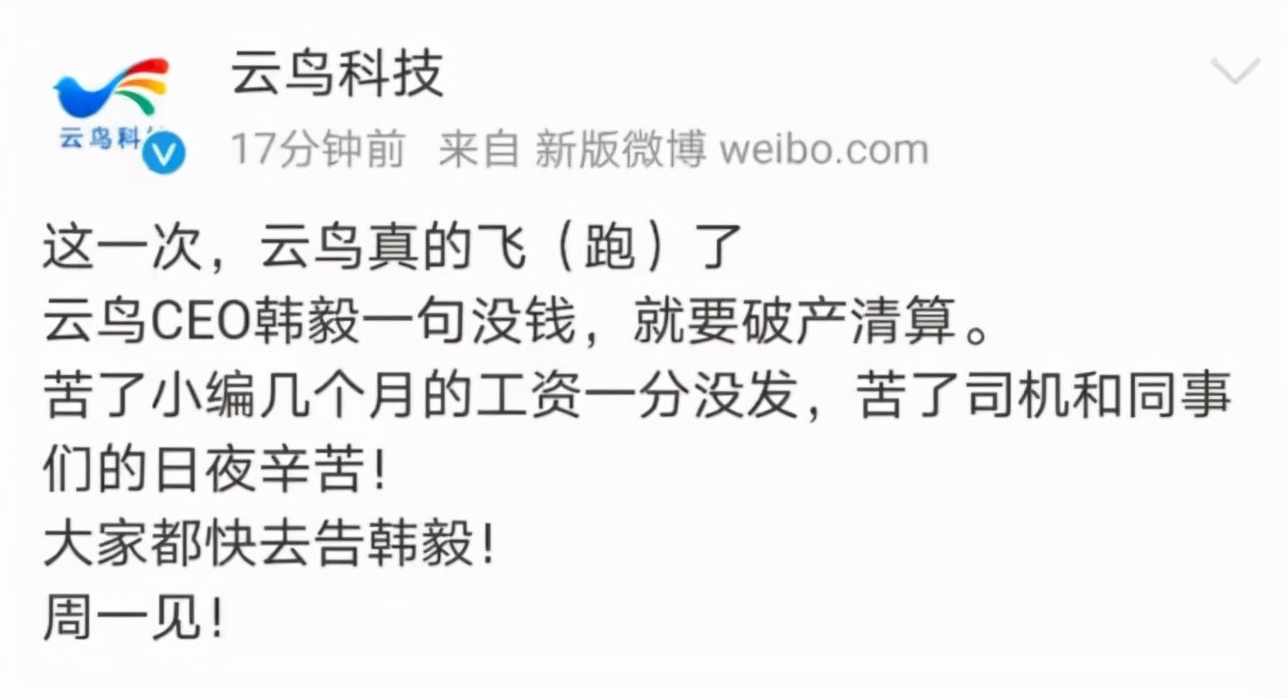 云鸟科技陷破产纠纷,云鸟科技有多厉害