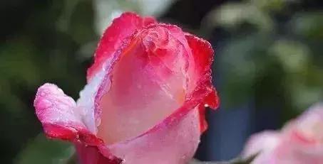 原来健康不等于长寿！一位保健专家的6句真心话，非常受益！