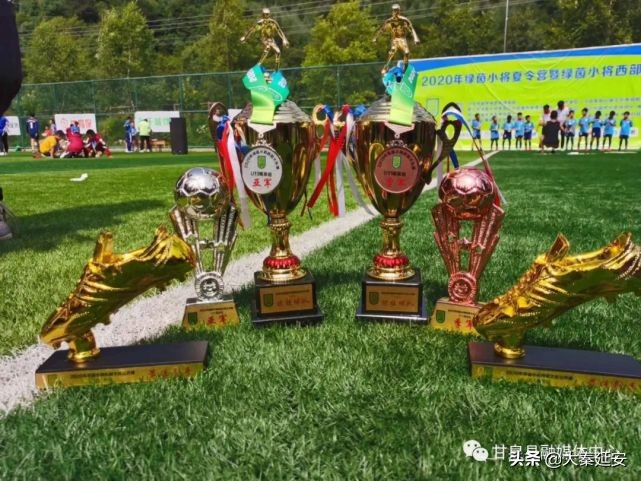 盛夏绿茵赛场挥汗如雨甘泉足球小将载誉归来