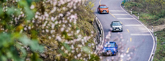 2.0L混动四驱,试驾雷克萨斯UX后,告诉你什么是雷式豪华生活方式