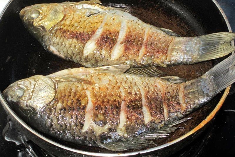 很小的鲫鱼煎鱼怎么煎好吃,海鲫鱼怎么煎鱼好吃视频