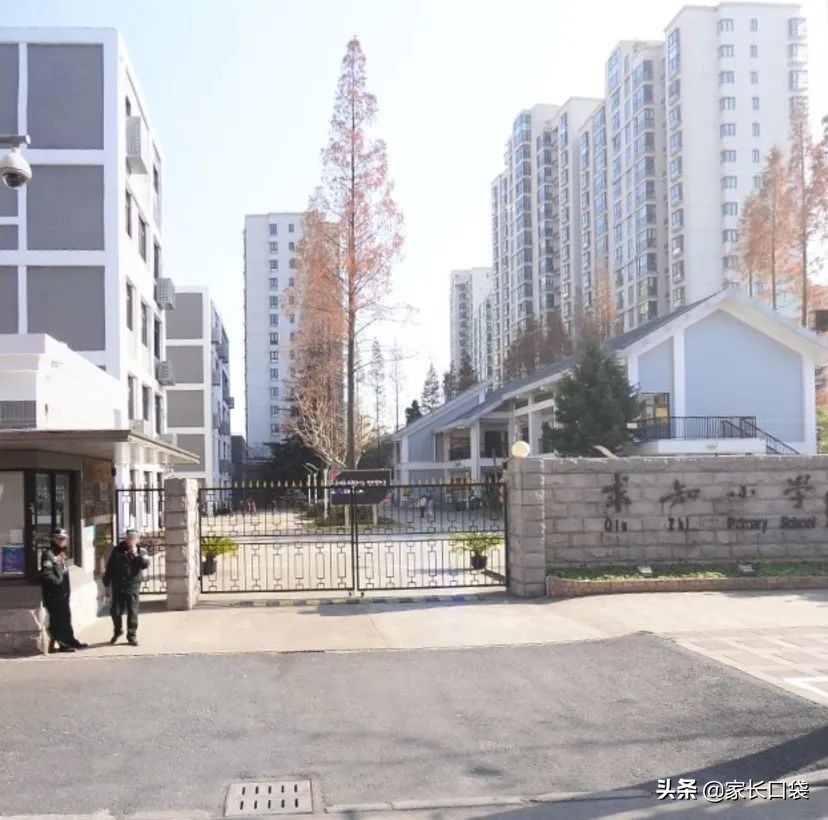 上海热门小学隐藏技：芭蕾、乒乓、游泳、书法、科技……样样有