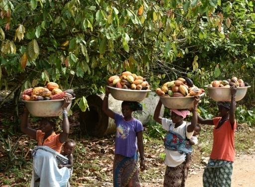 科特迪瓦八十年代,第二个科特迪瓦