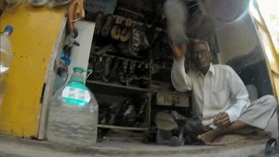 养一只流浪狗的感受,流浪狗的真实内心独白