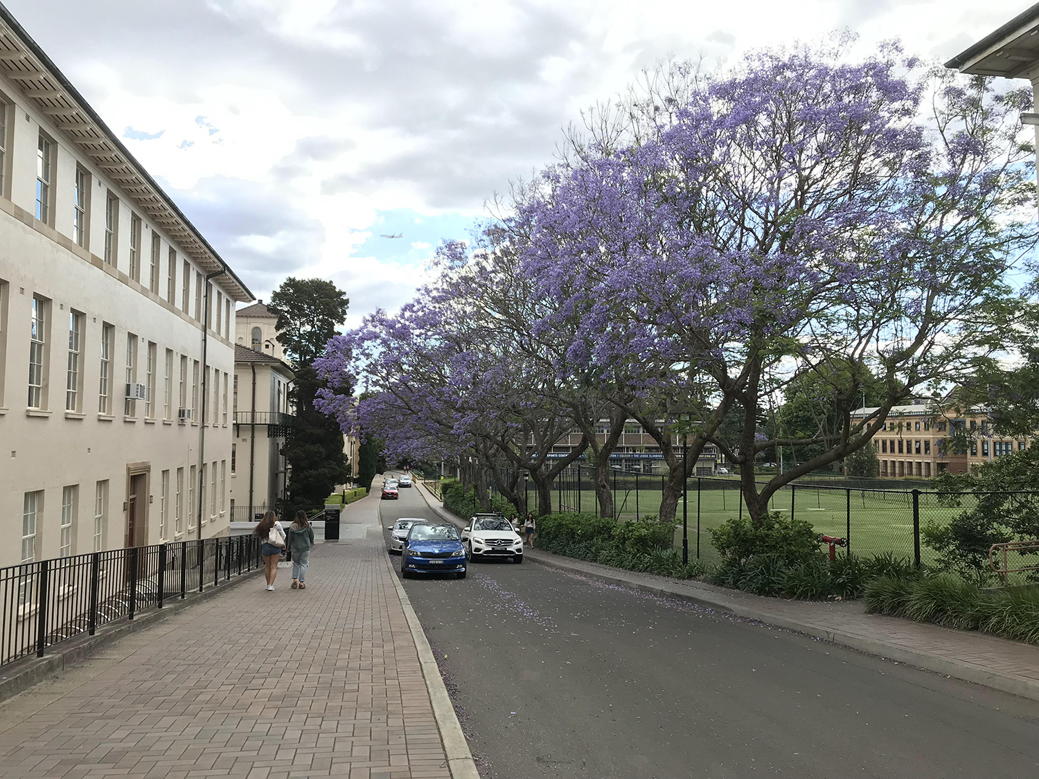 世界排名前300的大学算好大学吗,世界排名大学中国有几所