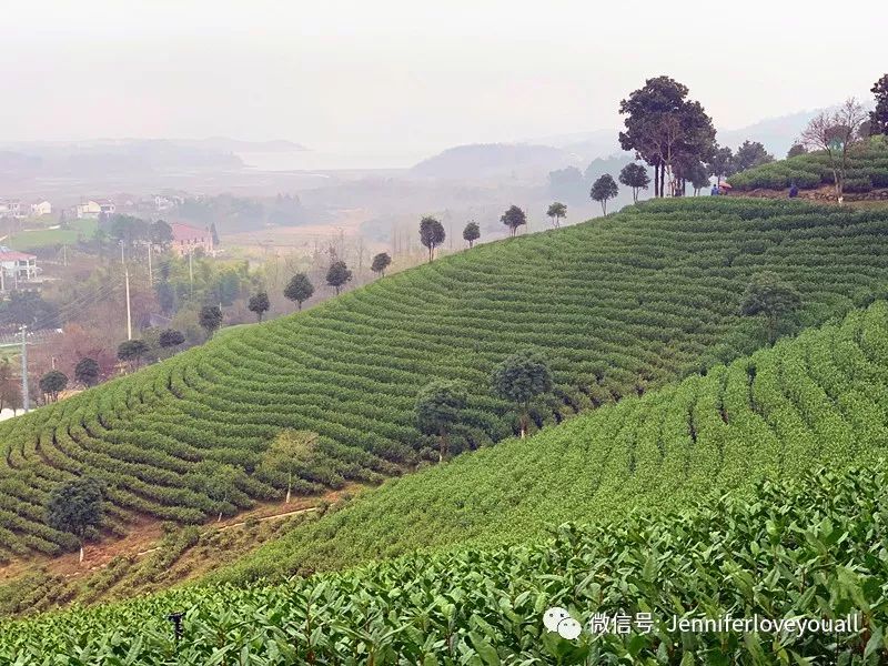 溧阳市香云小筑民宿酒店,香云小筑价格