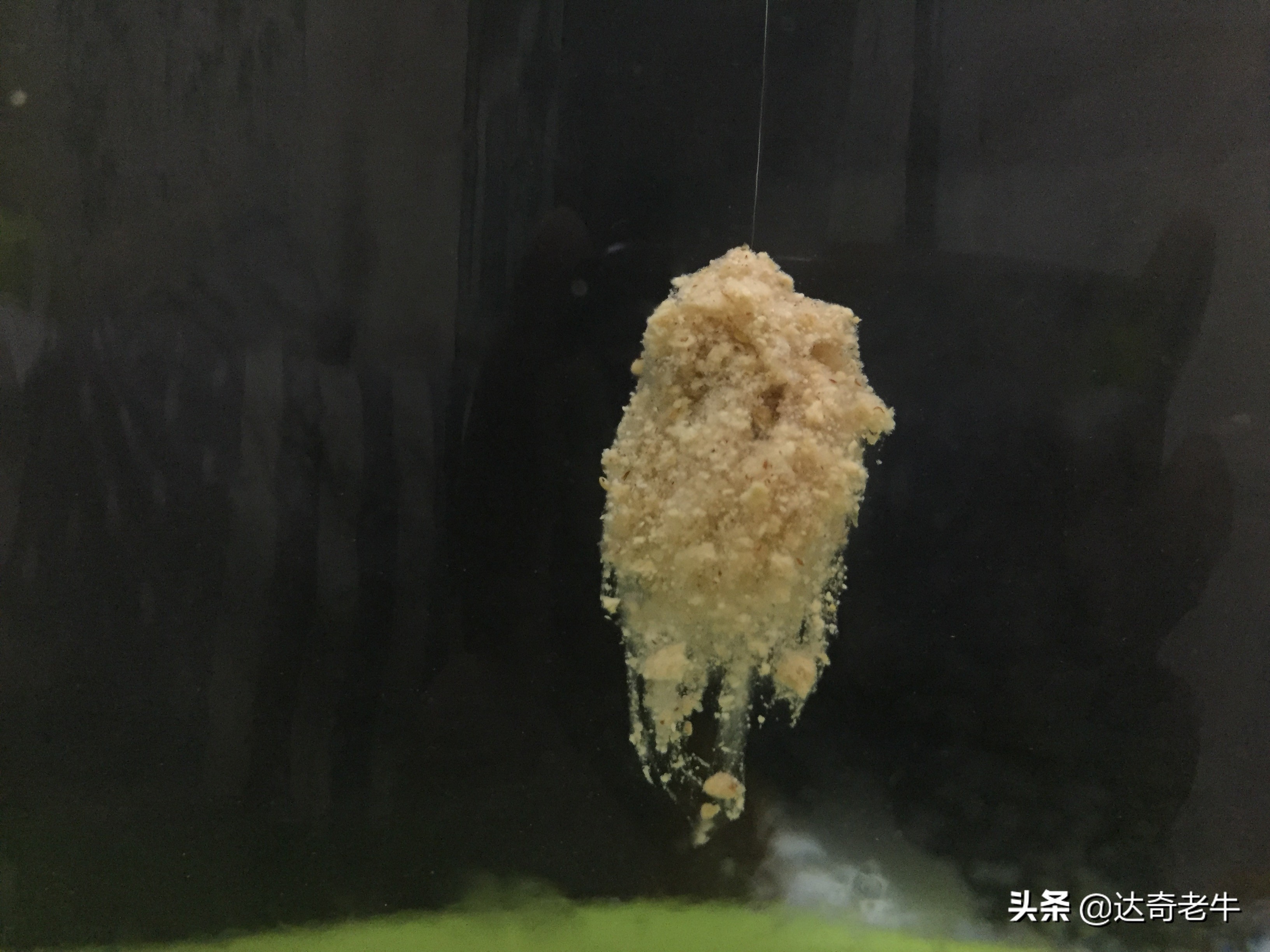 钓鱼饵料加小药真的有用吗,钓鱼料有危害吗