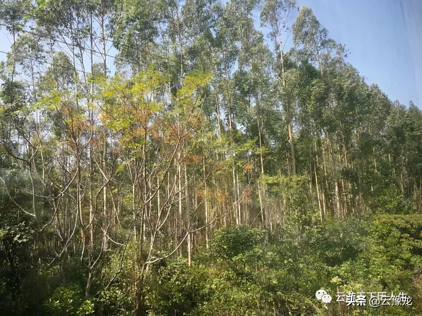 从湛江到海口火车,湛江到海口火车过海视频