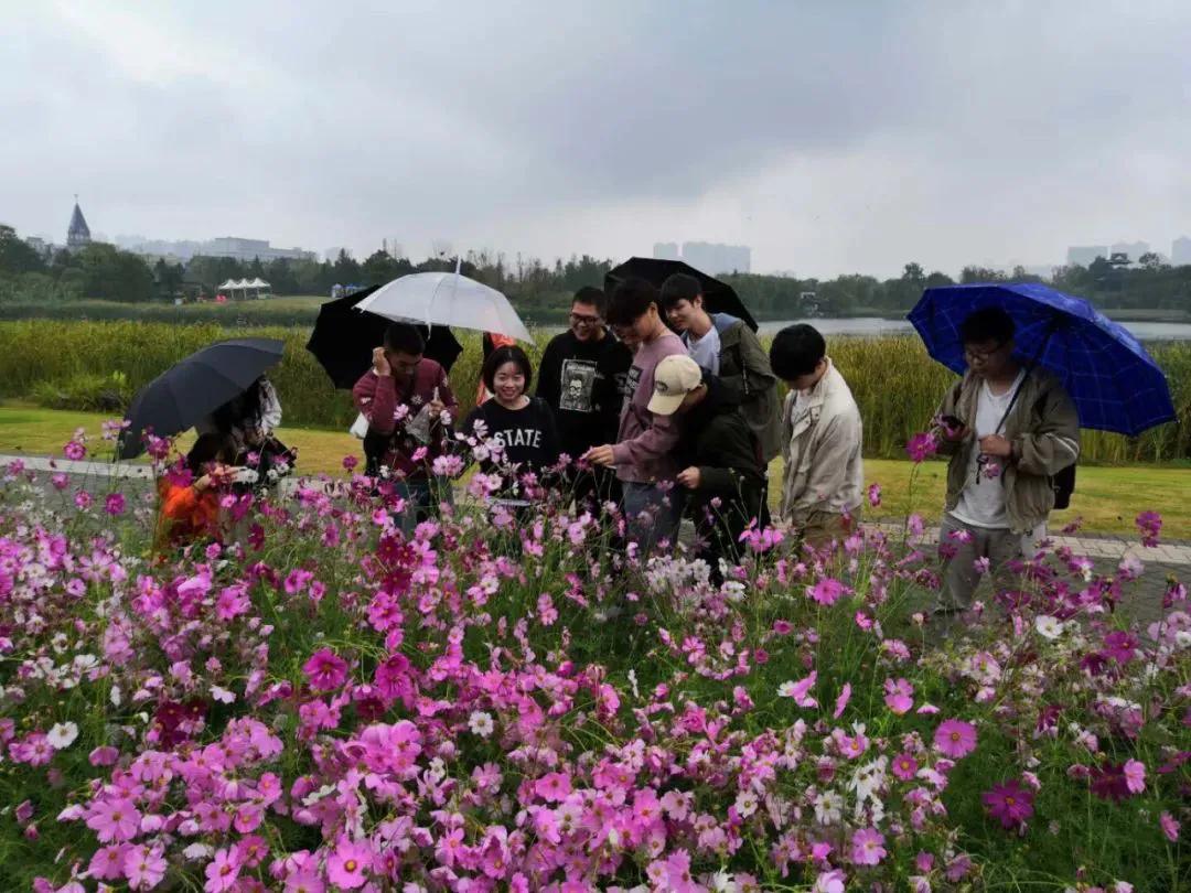 笑谈种树的艺术——看园林专业的魅力