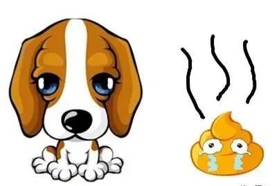 发现狗狗大便带血？别怕！这些帮你快速定位病因！