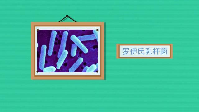 便秘选择什么益生菌,儿童益生菌选择