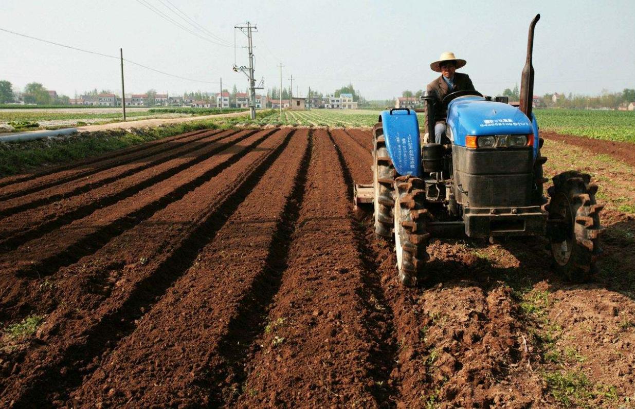 哈密土地荒废农民怎么活,农村土地荒废