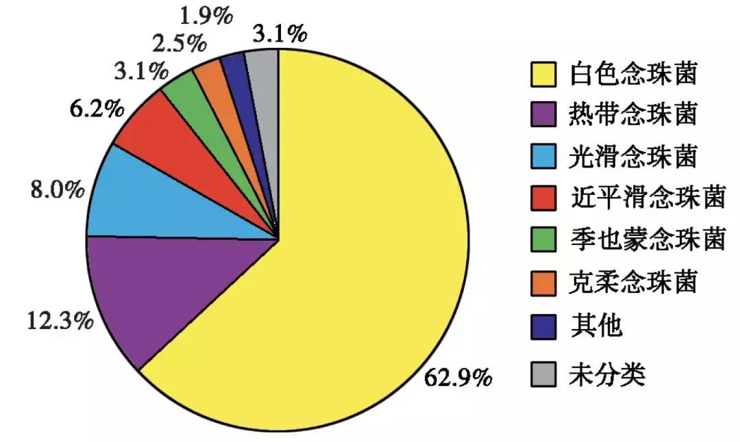 怎样确诊肺部真菌感染,侵袭性肺真菌病的确诊标准有哪些