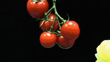 机械手里面哪个最厉害,机器人大战老版本实力排名