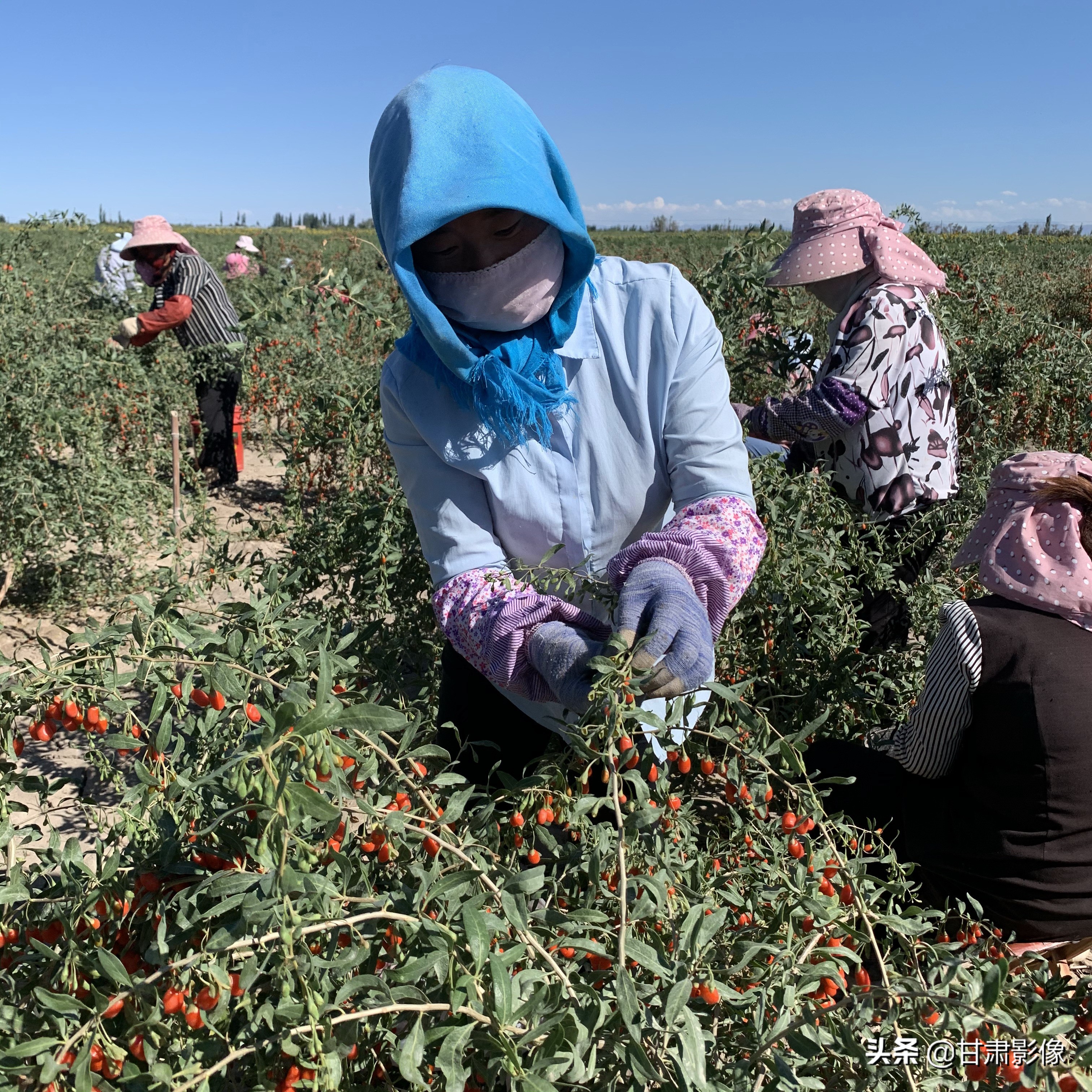 告别2021年的夏天手机摄影,简单手机摄影2020不平凡的一年