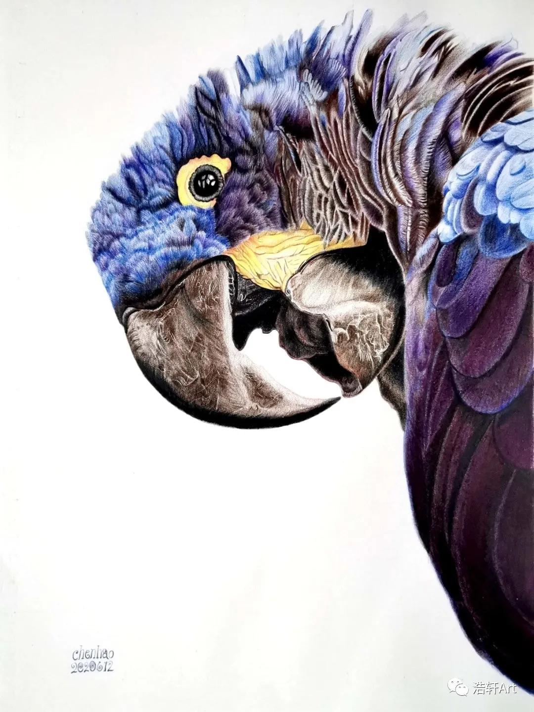 心中有画的下一句,心中有画完整视频