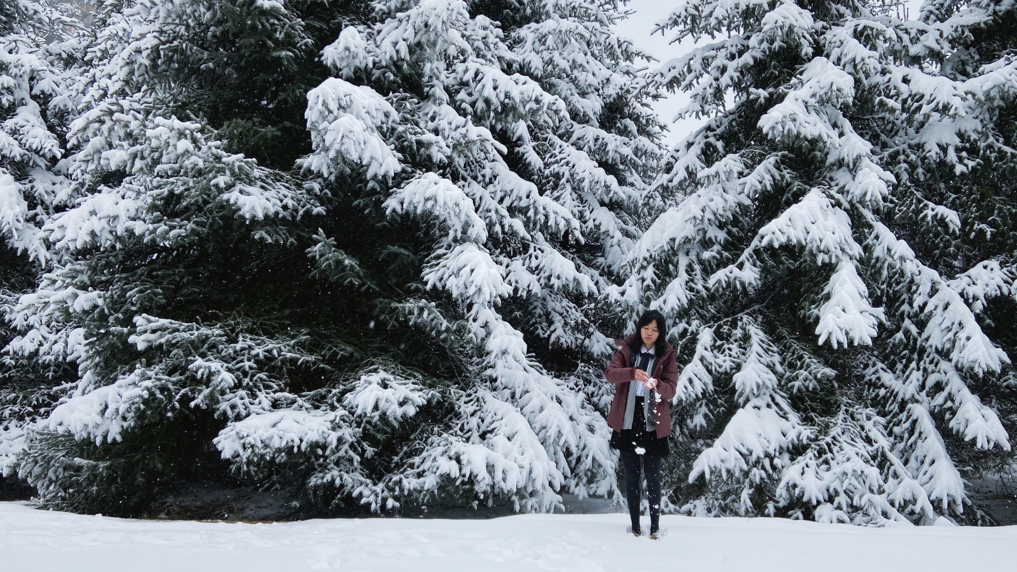 始祖鸟顶级羽绒服macai极寒测评,始祖鸟macai羽绒服拆解
