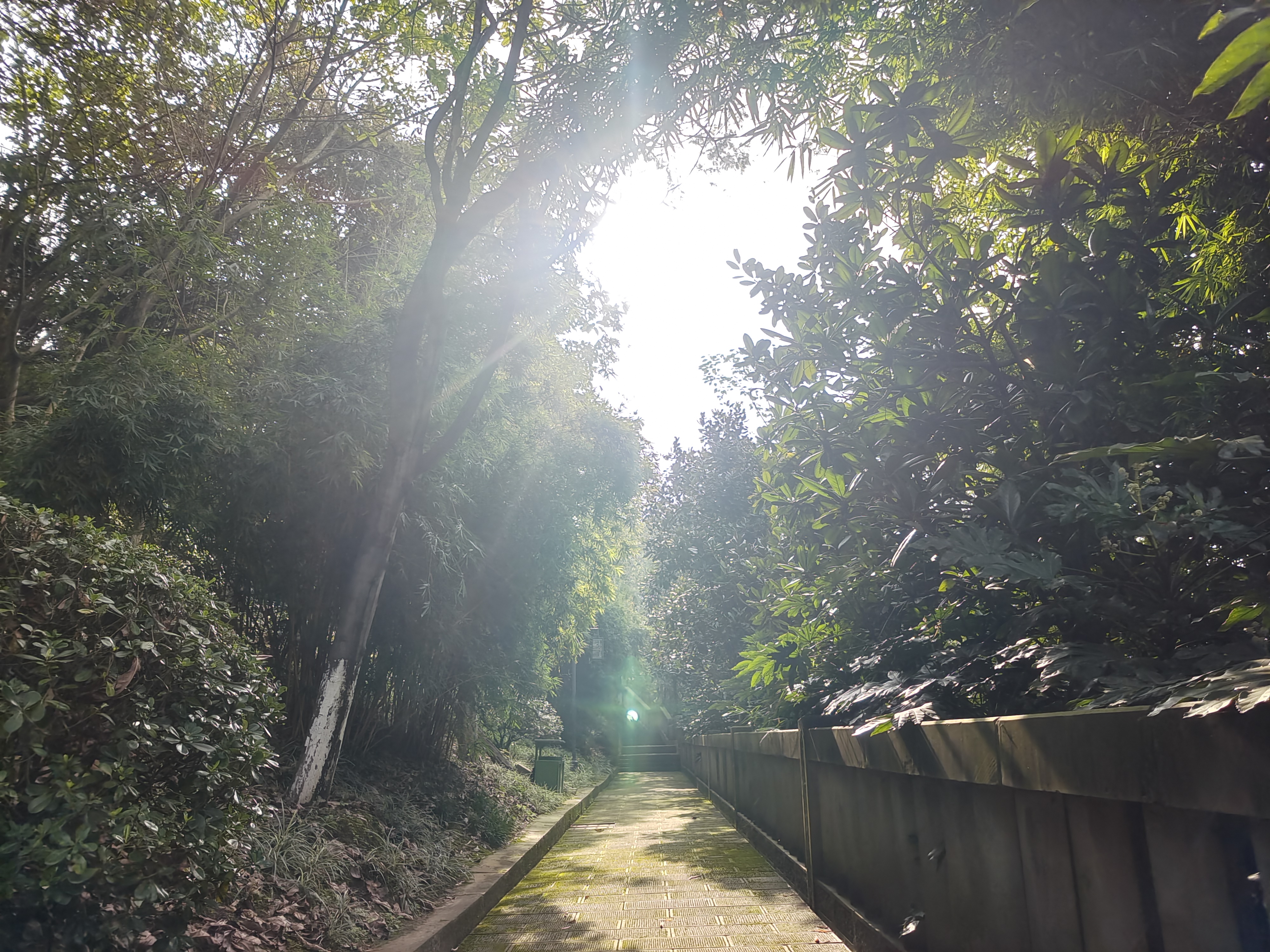 万州南山公园游览顺序,记流水账旅行